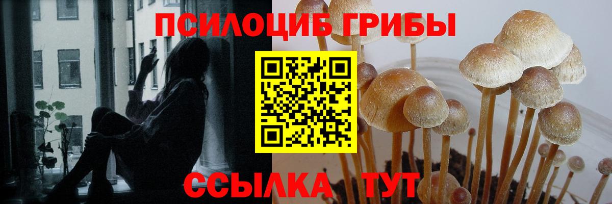 Псилоцибиновые грибы MAGIC MUSHROOMS  Вход с VPN  Кингисепп 